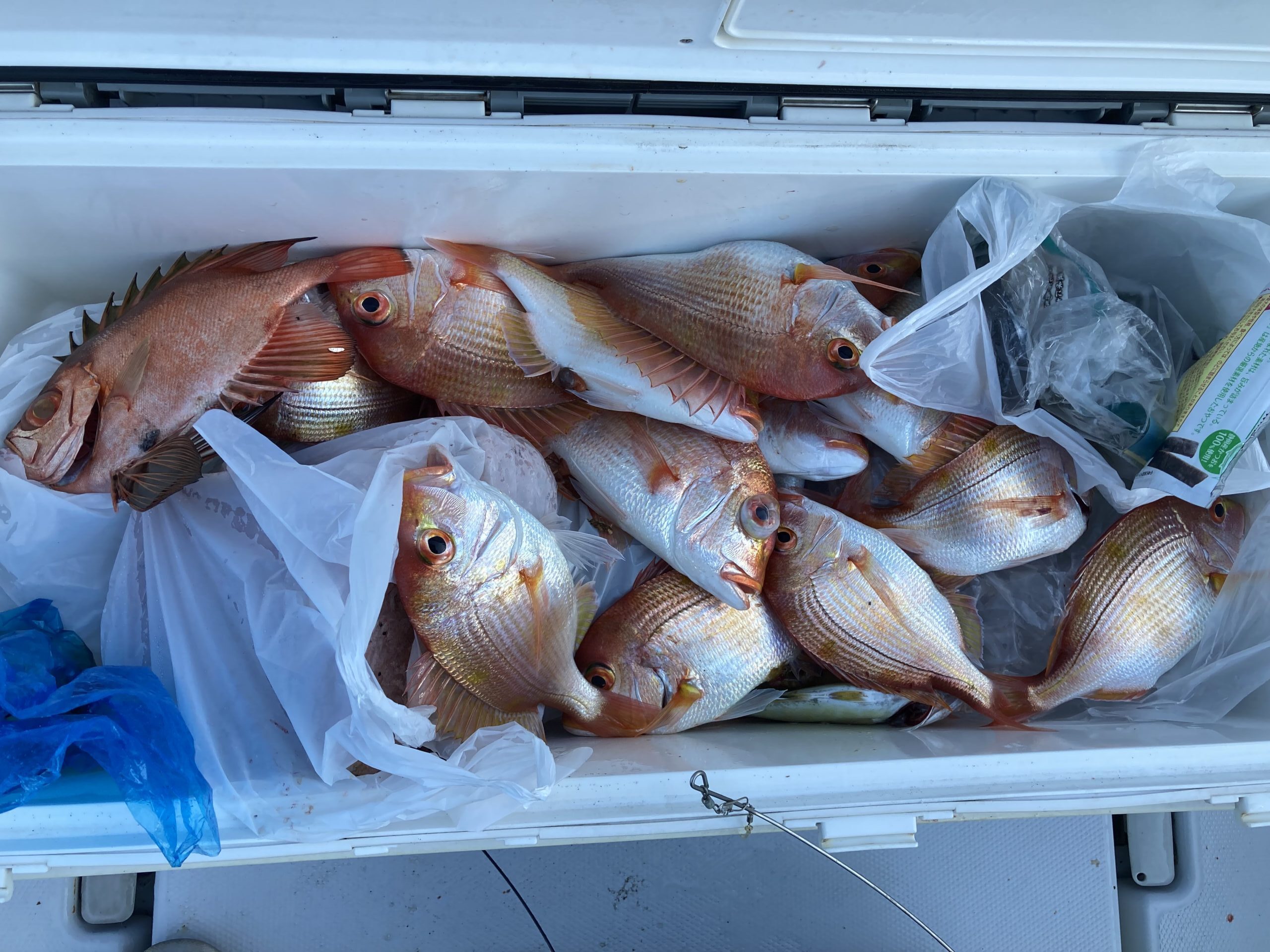 海のボート釣り　オーナー様釣果　1年間お世話になりました