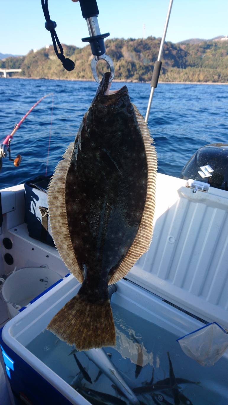 海のボート釣り オーナー様釣果 12月14日