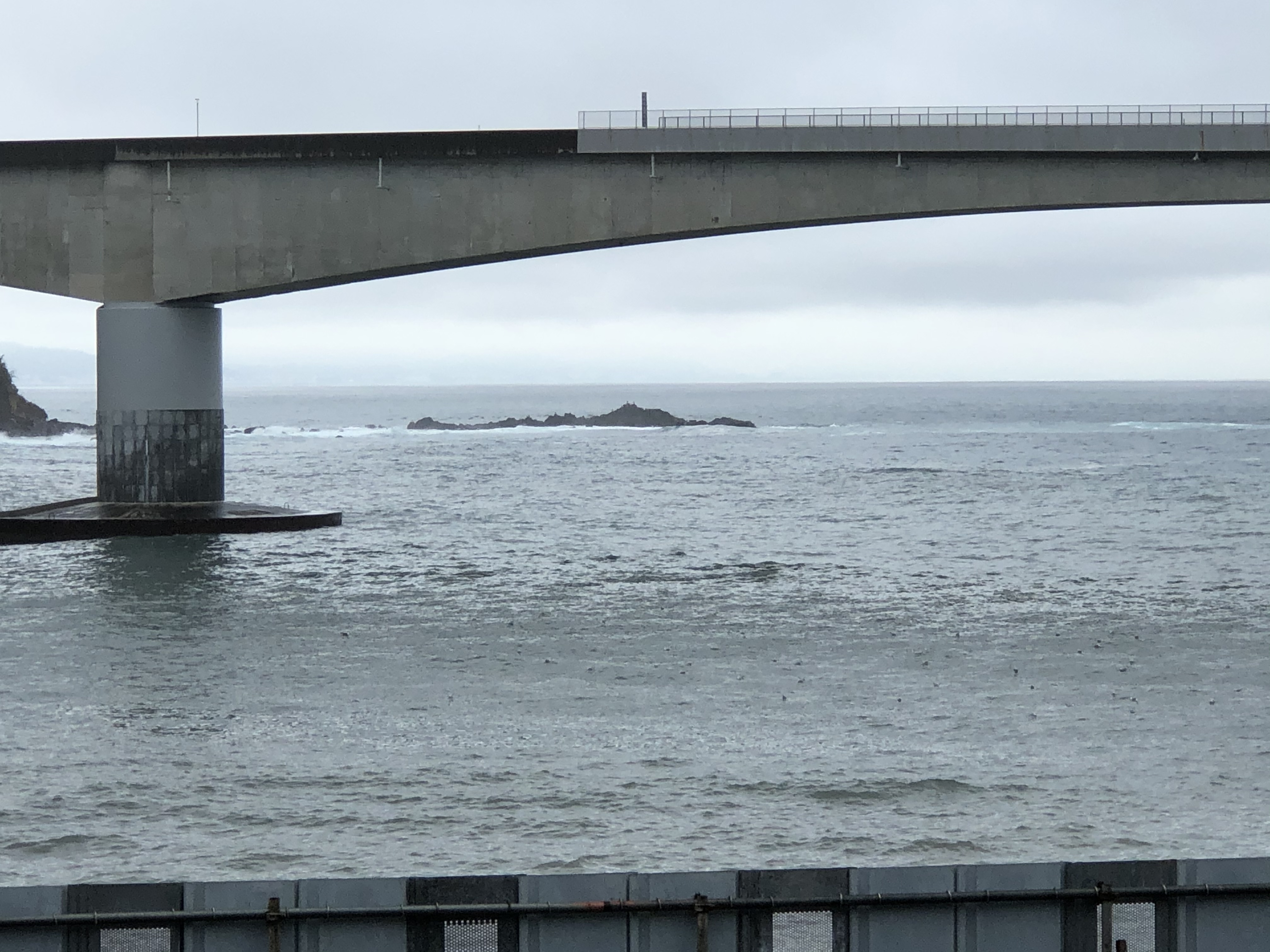 今日の海　11月27日