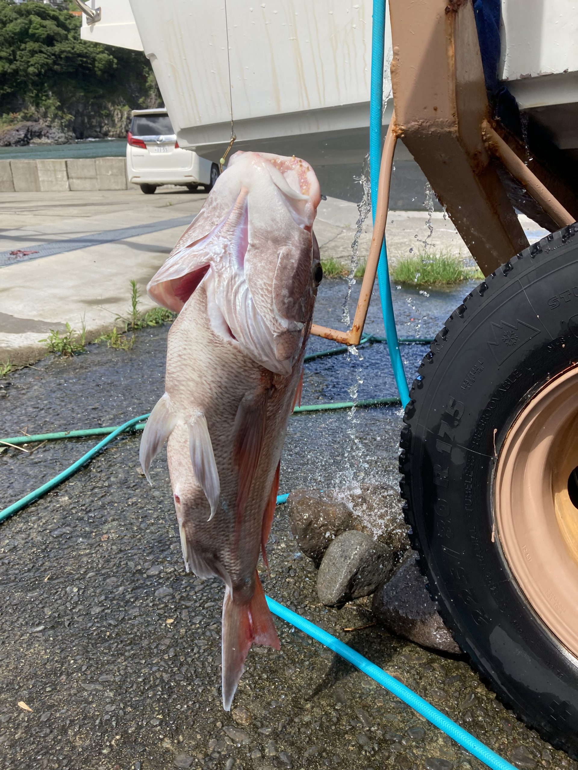 海のボート釣り　オーナー様釣果