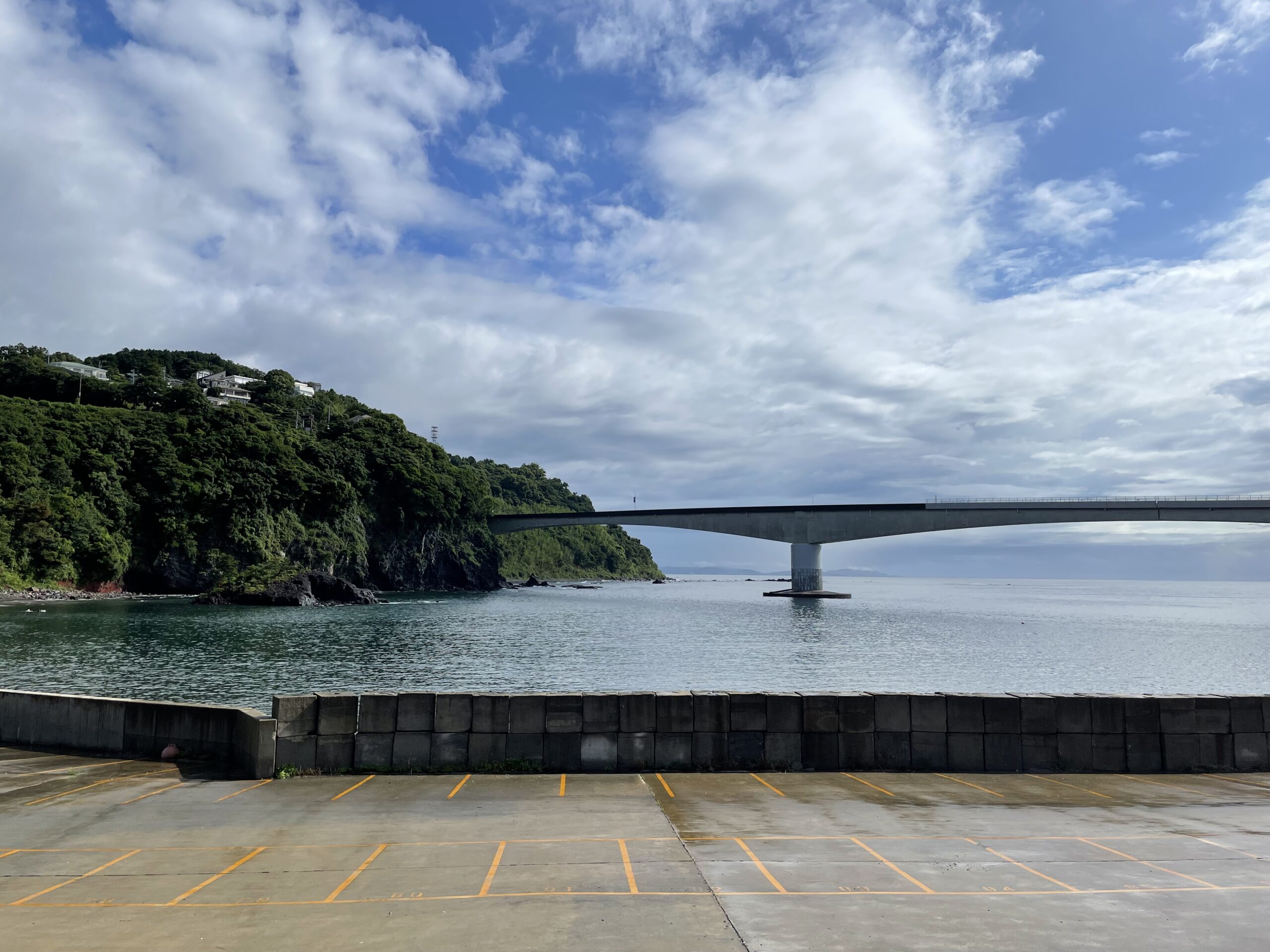 今日の岩大橋　久しぶりにピカピカ