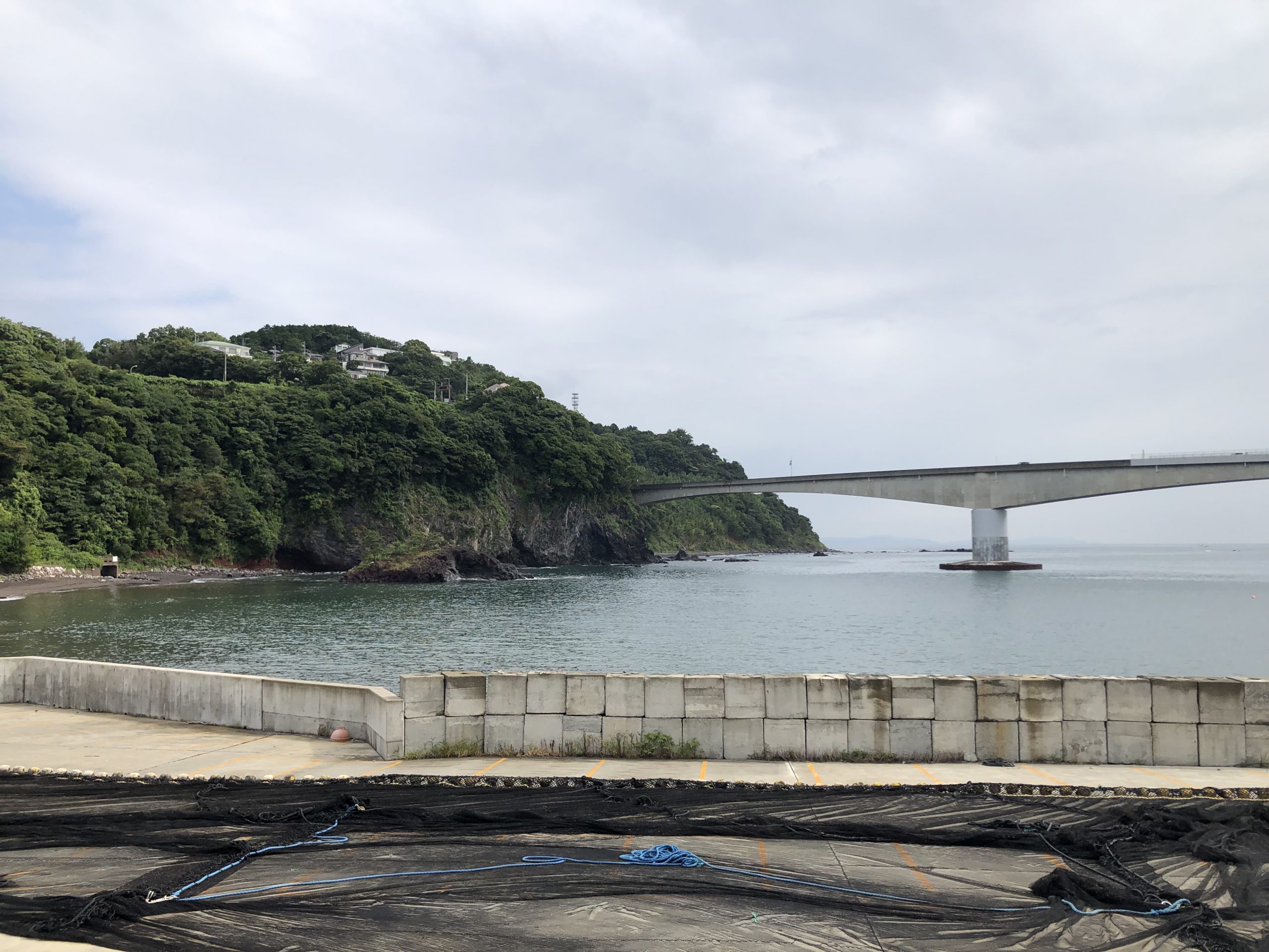 今日の海　7月31日