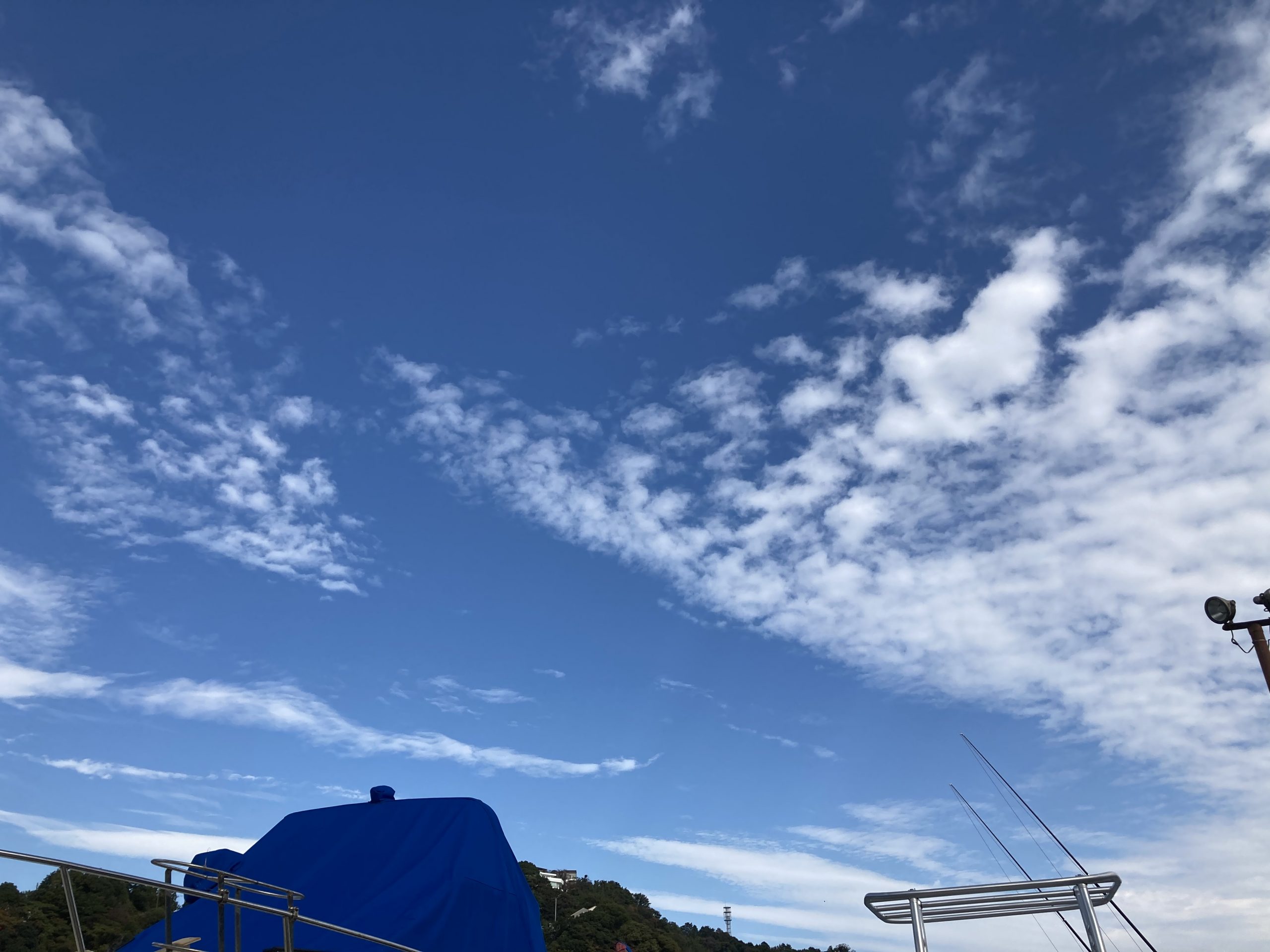 今日の海　11月8日