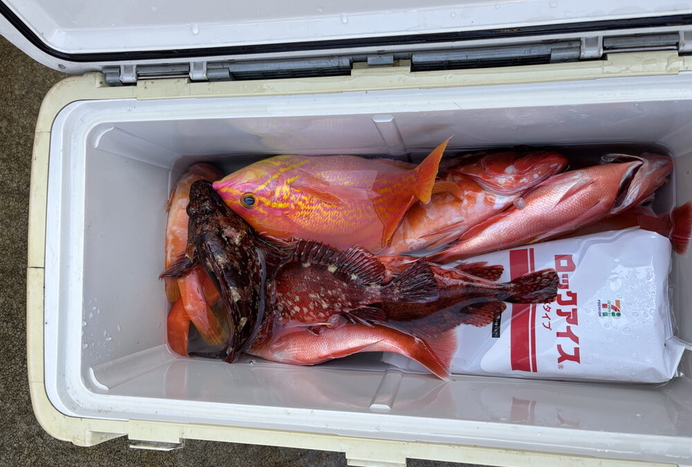 海のボート釣り　オーナー様釣果