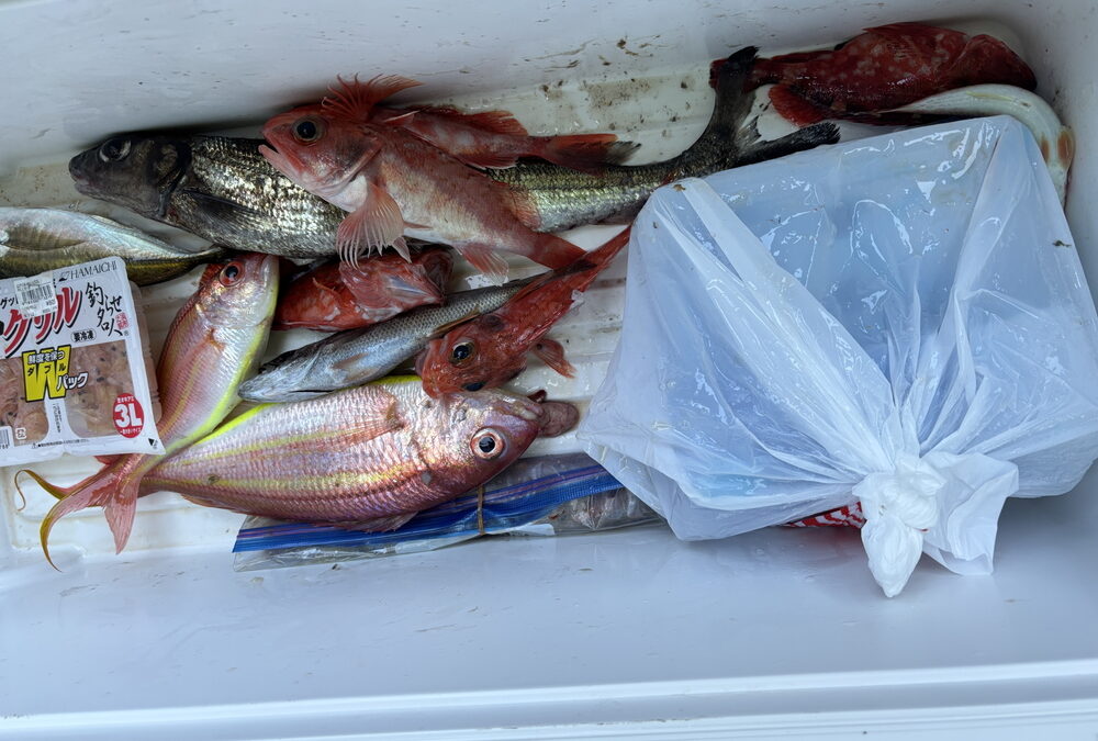 海のボート釣り　オーナー様釣果