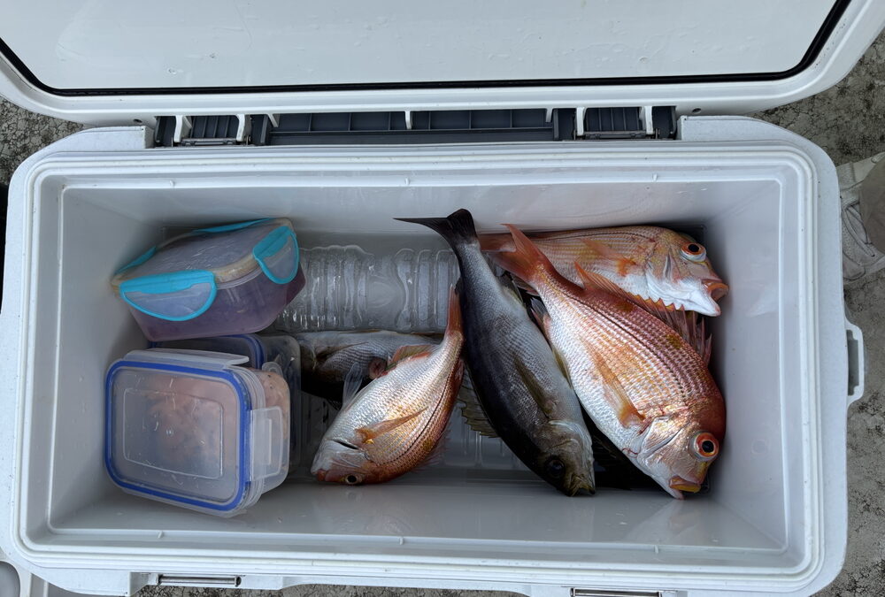 海のボート釣り　オーナー様釣果