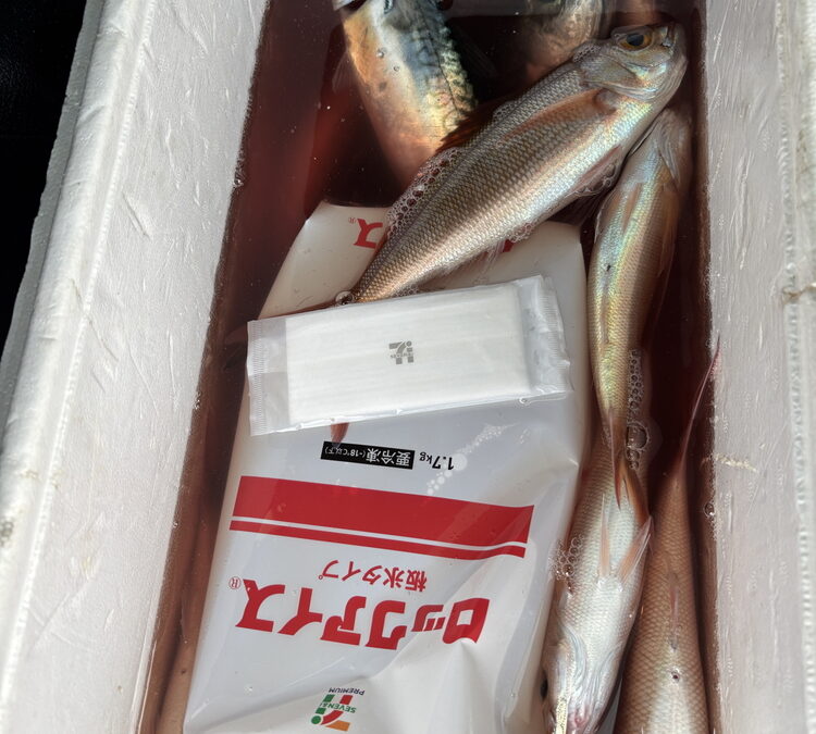 海のボート釣り　オーナー様釣果