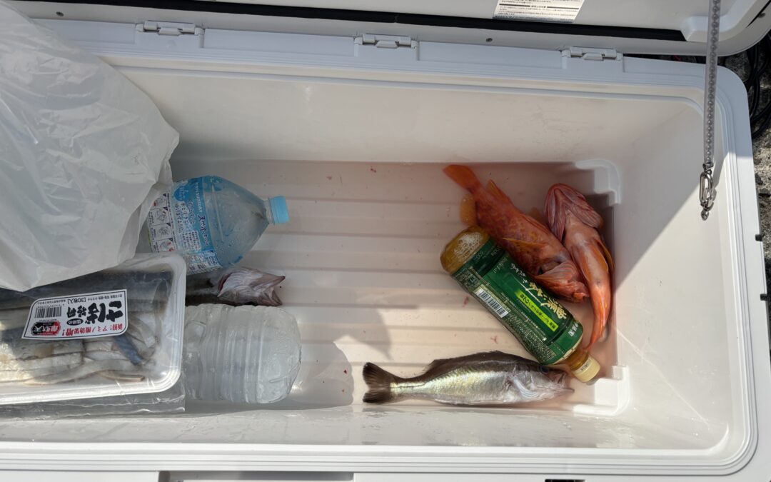 海のボート釣り　オーナー様釣果