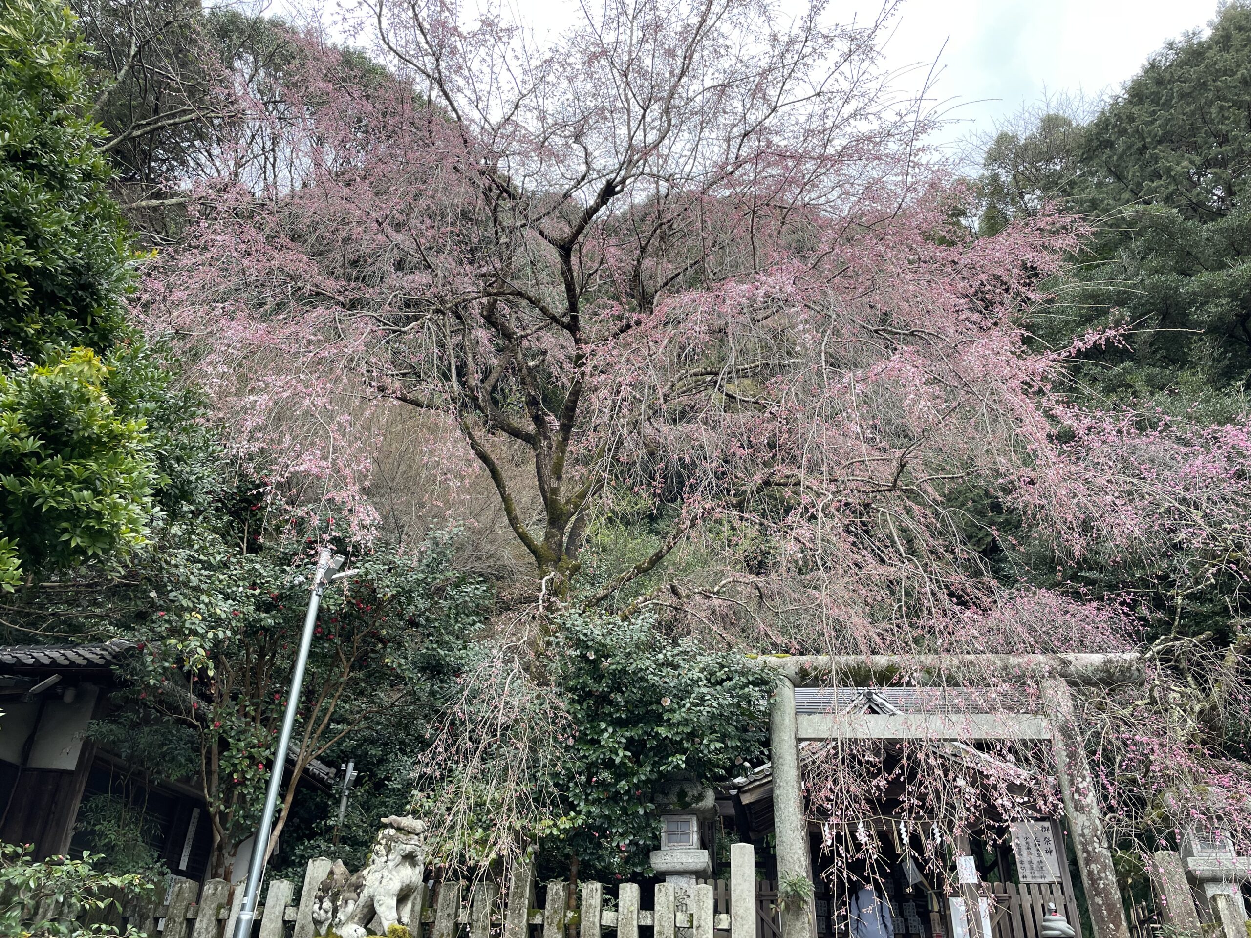 ちょっと記録更新