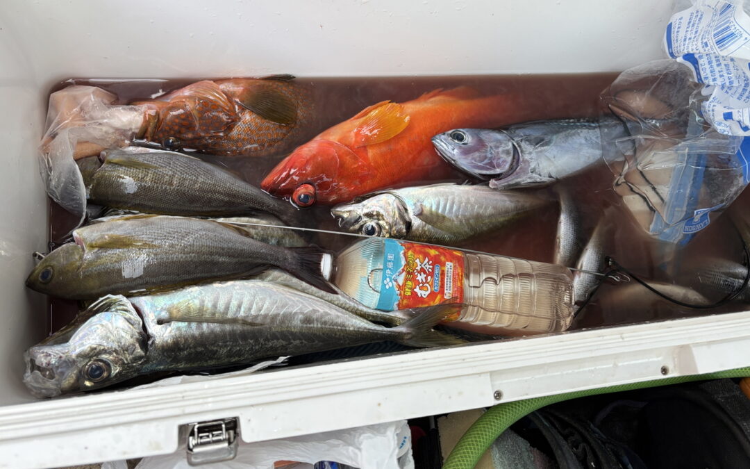 海のボート釣り　オーナー様の一日を想像してみる
