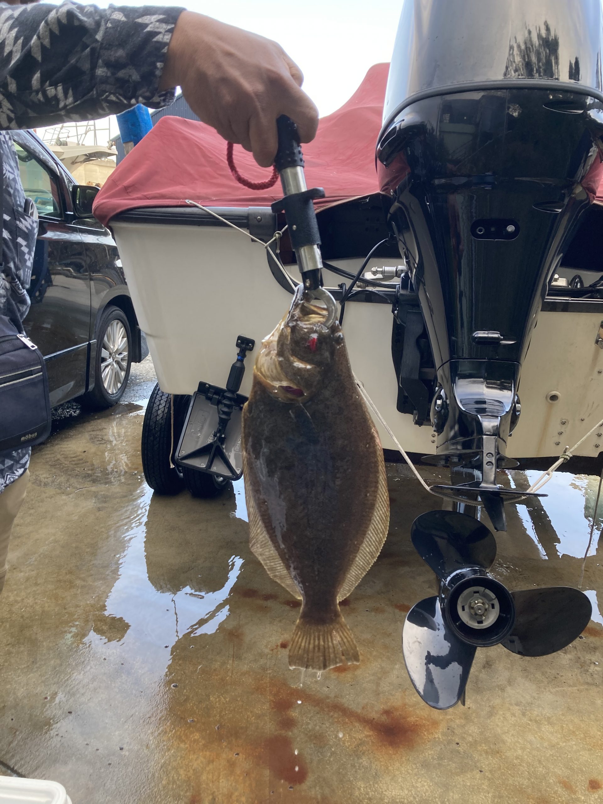 海のボート釣り　オーナー様釣果