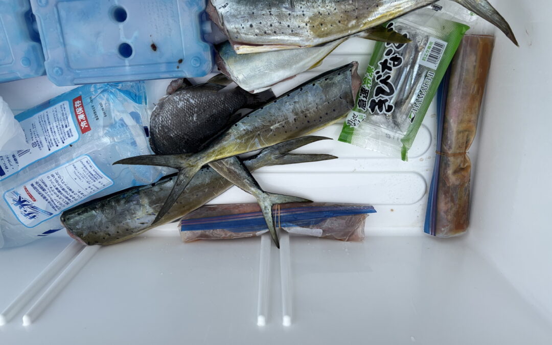 海のボート釣り　オーナー様釣