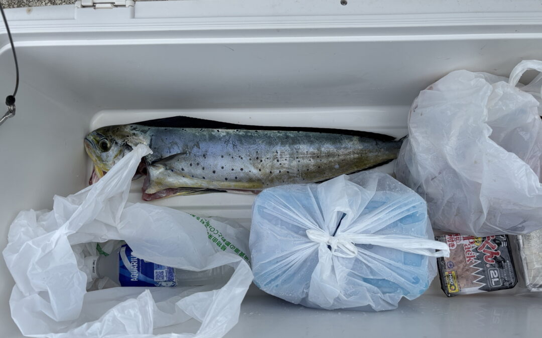 海のボート釣り　オーナー様釣果