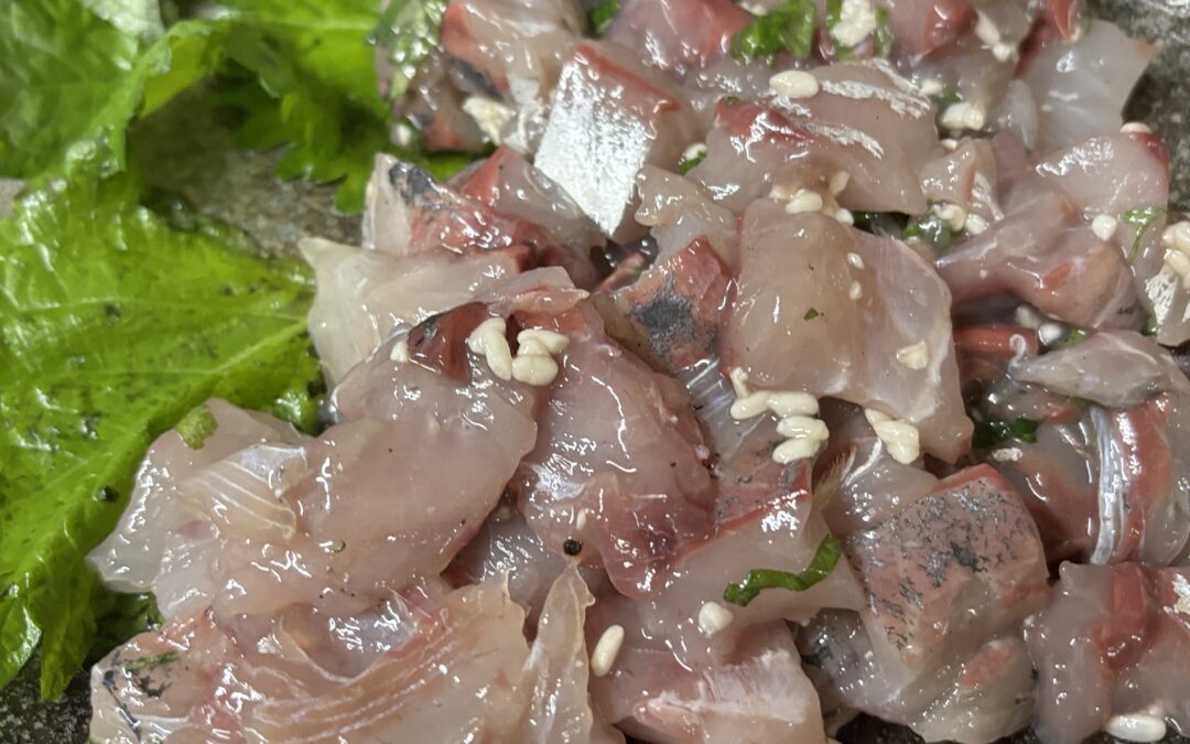 【美味しいもの】×【良質素材】