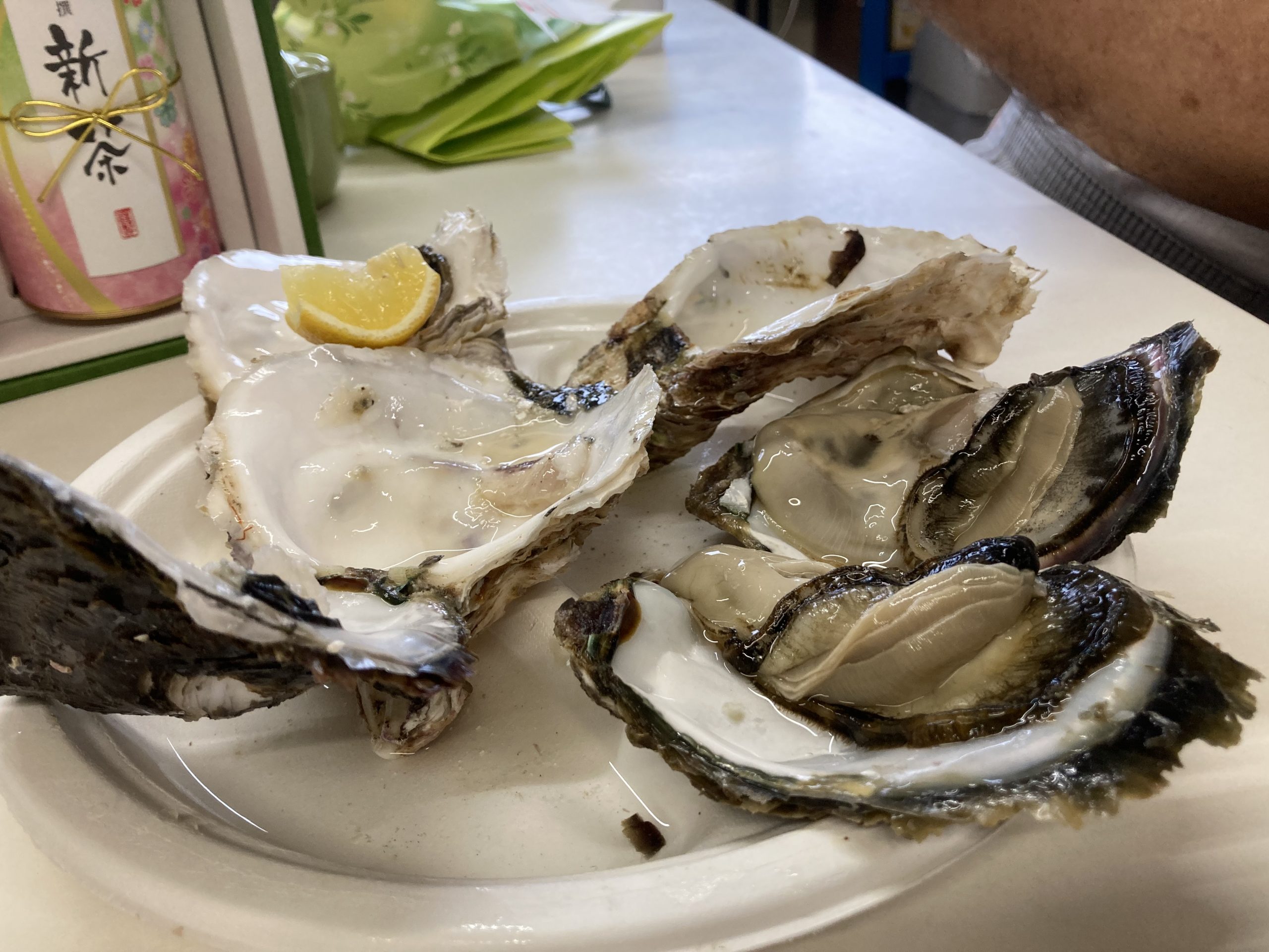 岩港の岩ガキ　食べられますよ！