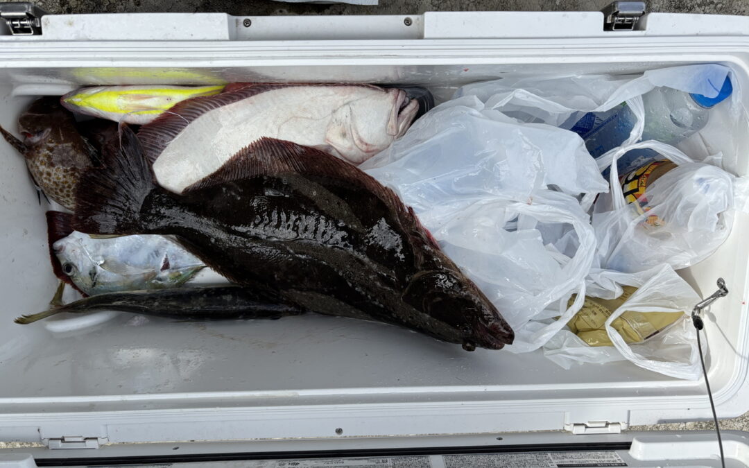 海のボート釣り　オーナー様釣果
