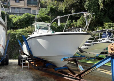 エグザンテ中古艇