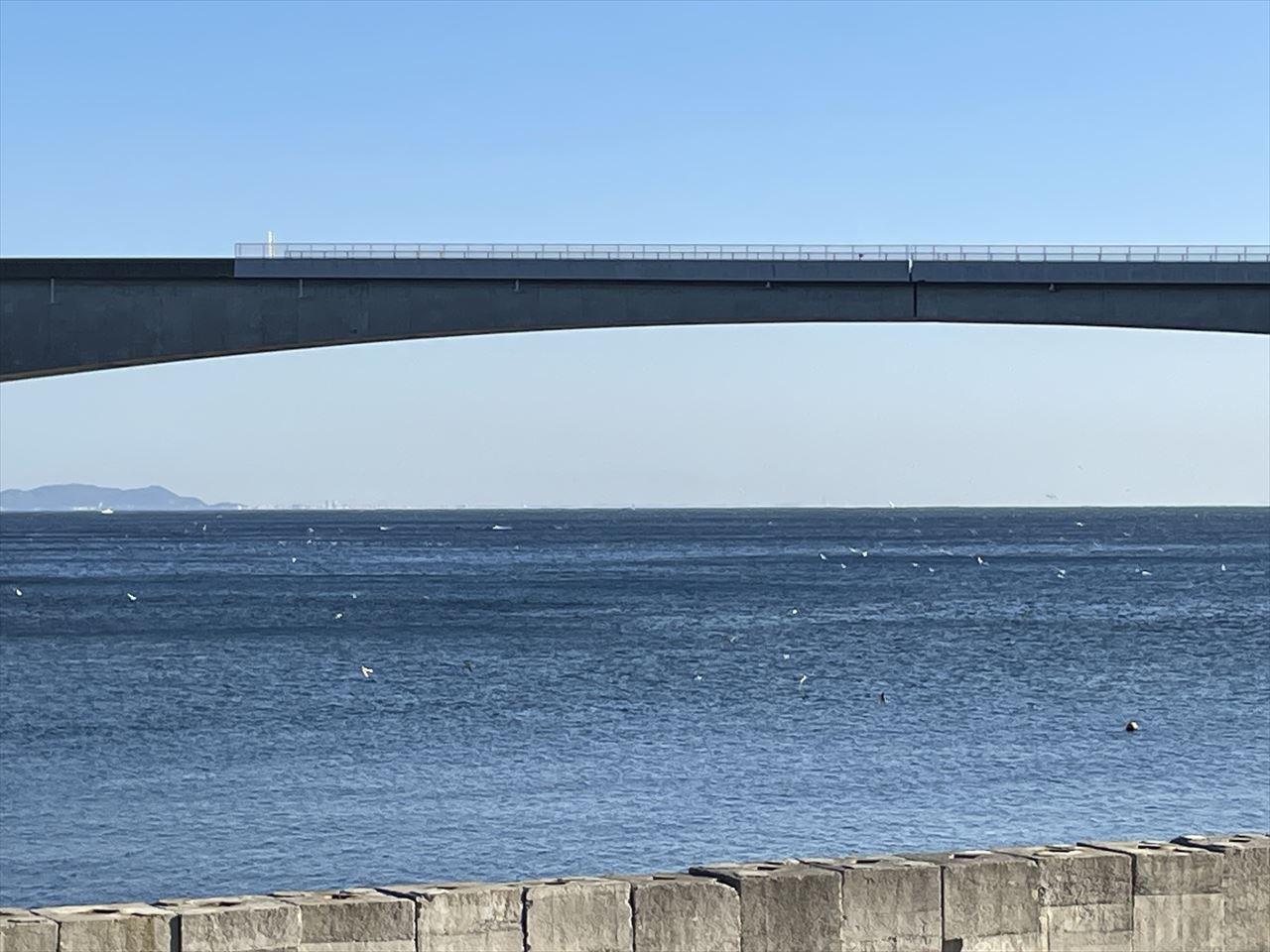 IMG_1710_R 鳥山