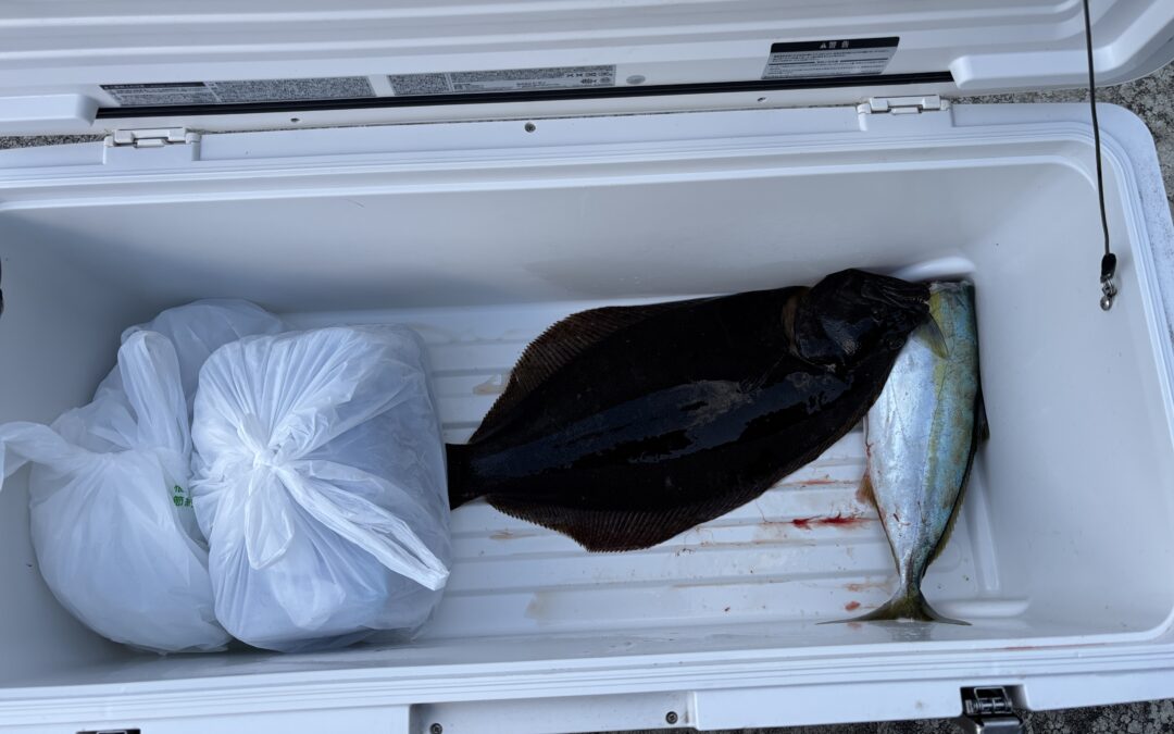 海のボート釣り オーナー様釣果