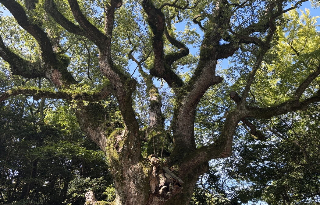 女性経営者中央会　全国大会