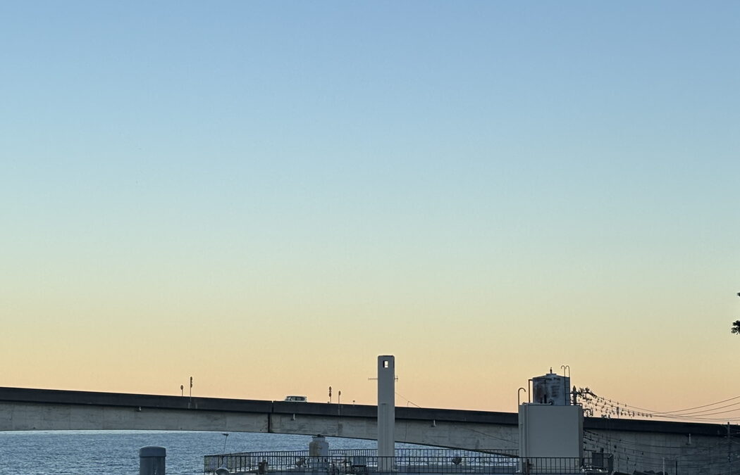 【しまった！】海のボート釣り　オーナー様釣果【落とし込みの情報聴けたのに】