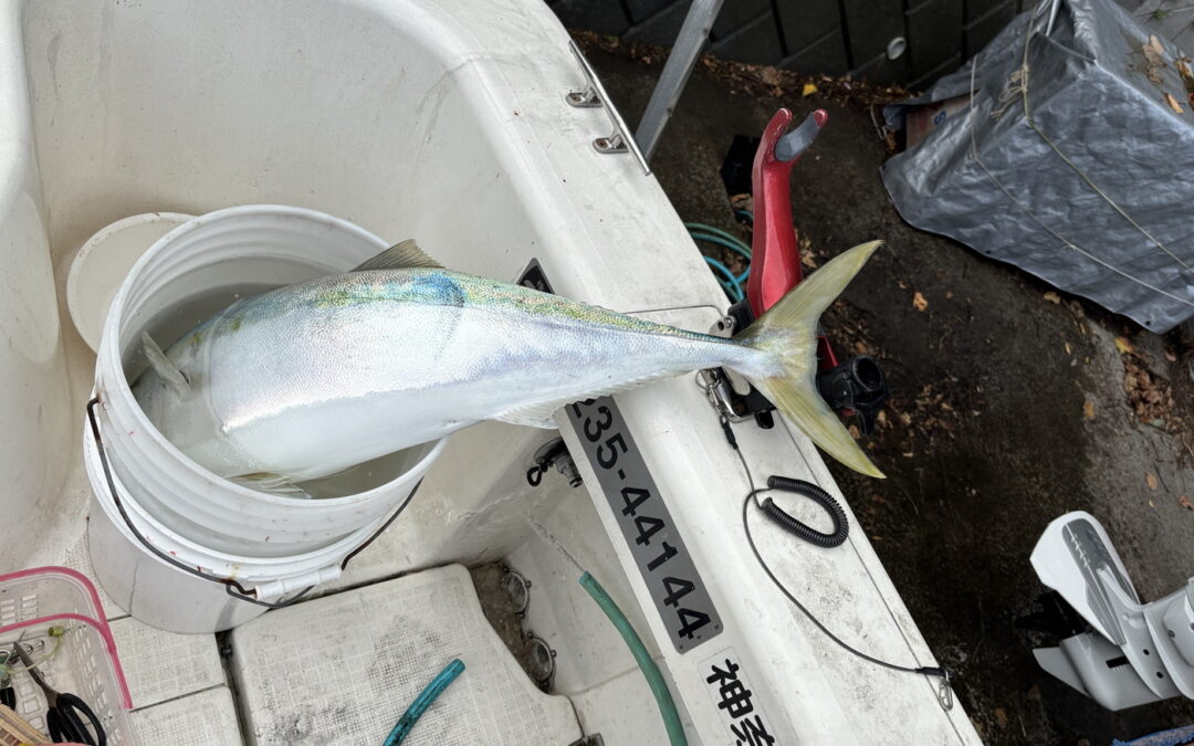 海のボート釣り　びっくりな日曜日