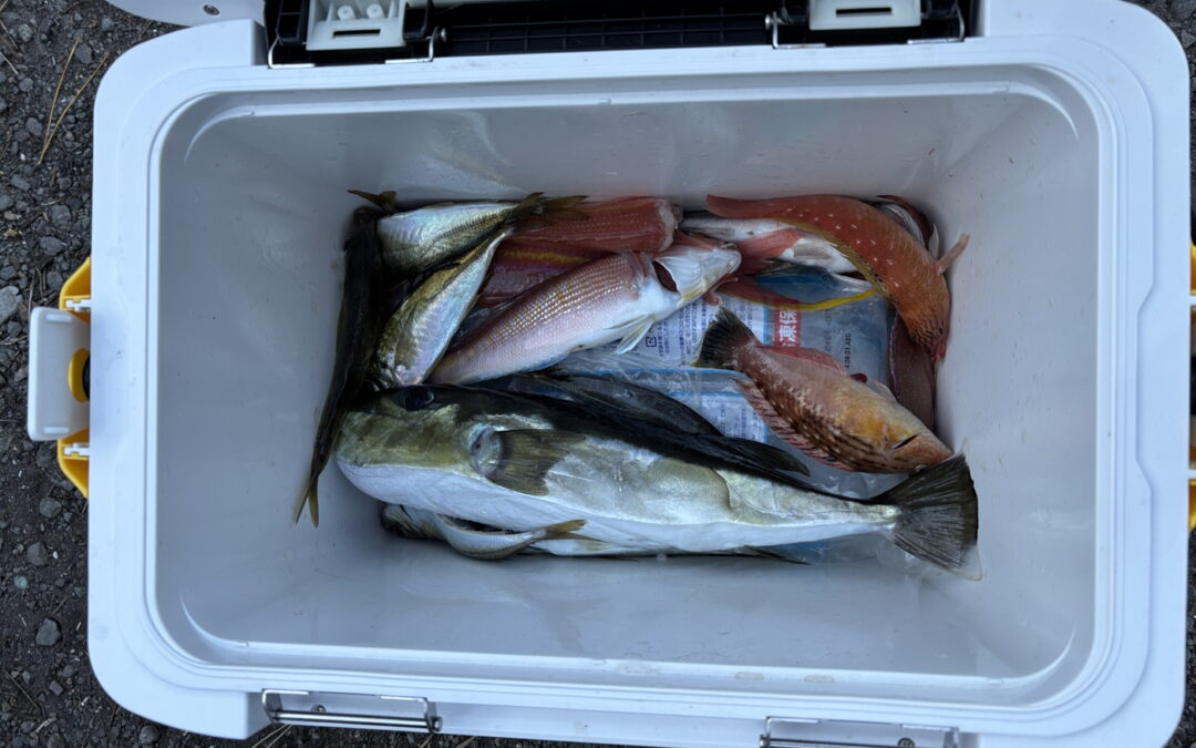 海のボート釣り　ベイトがっ