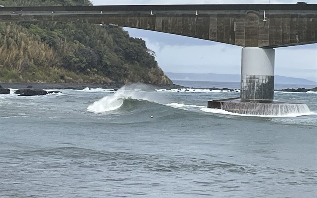 南岸低気圧　大暴れ