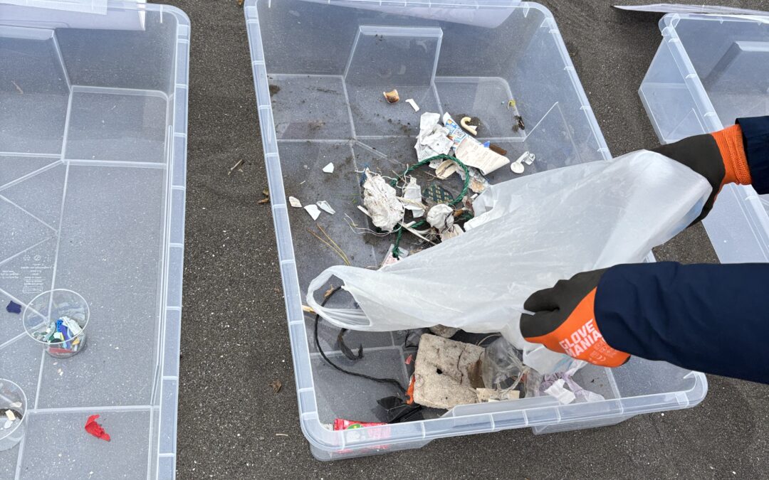 Love Ocean　だって海で生きてるから