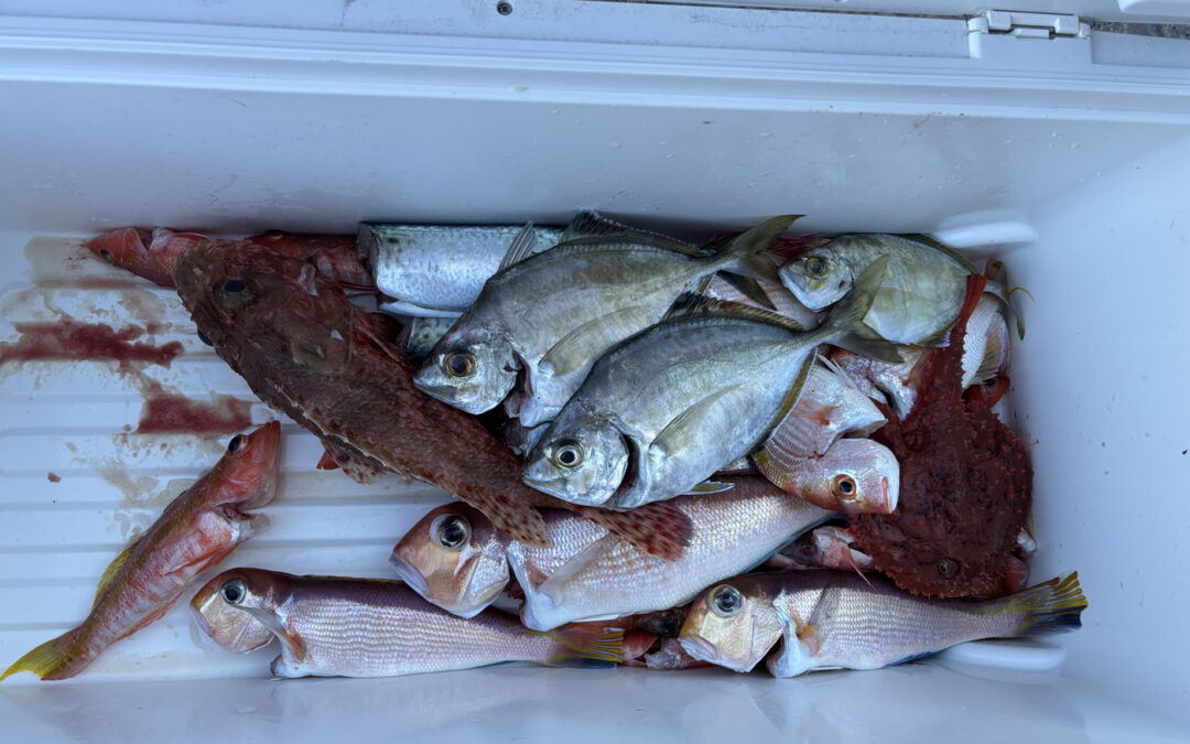 海のボート釣り　常連様ありがとう