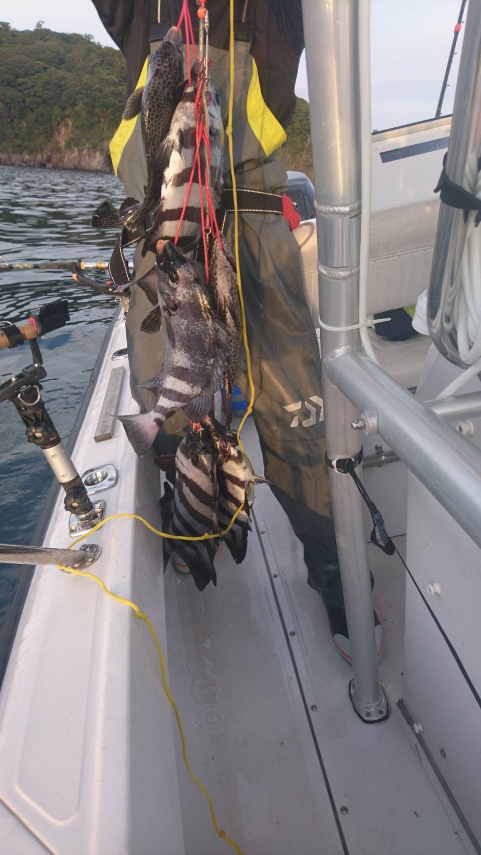 海のボート釣り　オーナー様釣果