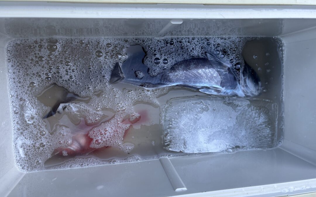 海のボート釣り　海の中も冬