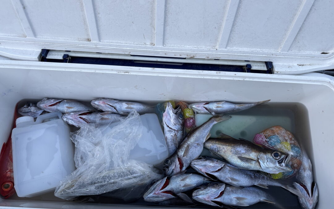海のボート釣り　家族のリクエスト