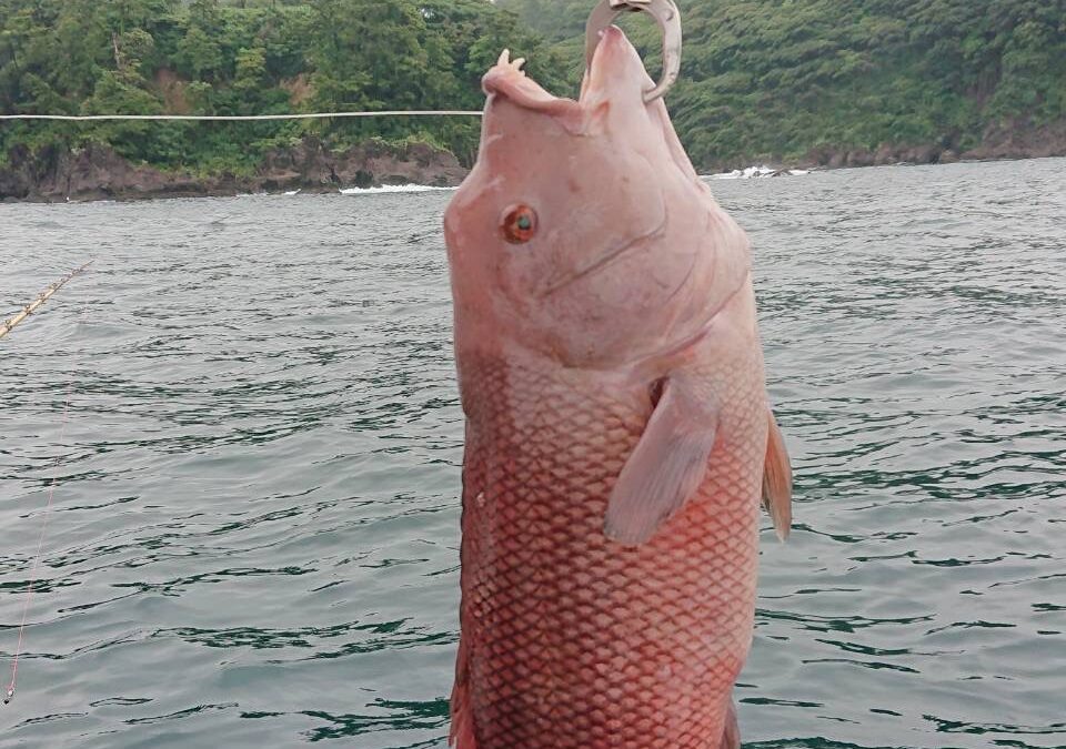 海のボート釣り　オーナー様釣果