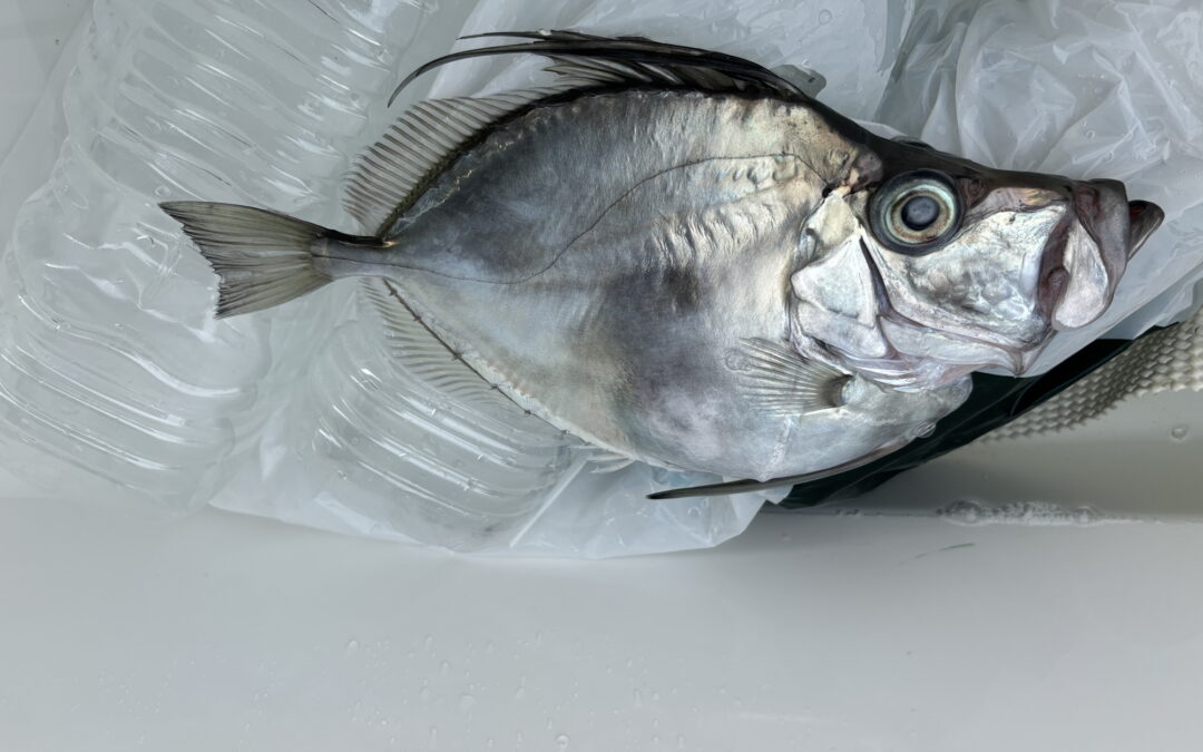 2026年ロッキーマリンオーナーズクラブ懇親会