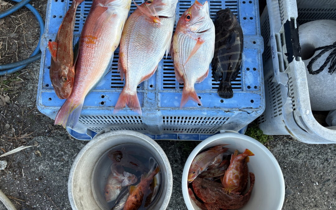 海のボート釣り　爆風対i-Pilot