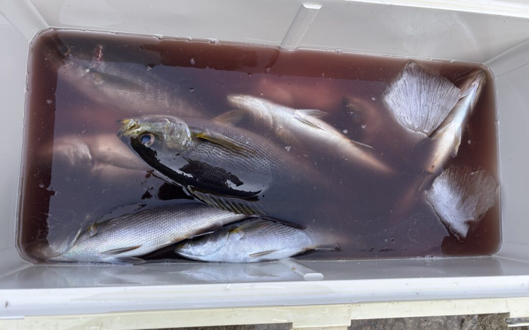 海のボート釣り　時合