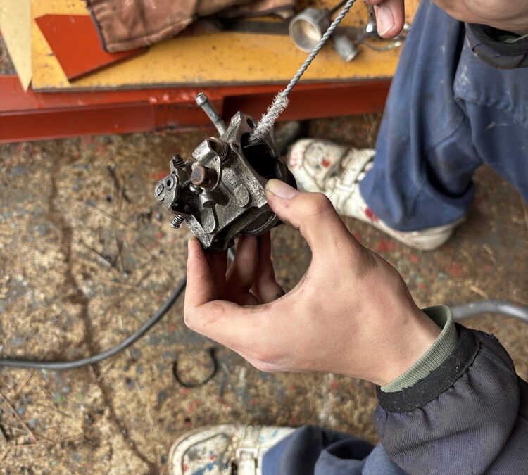 成長しております