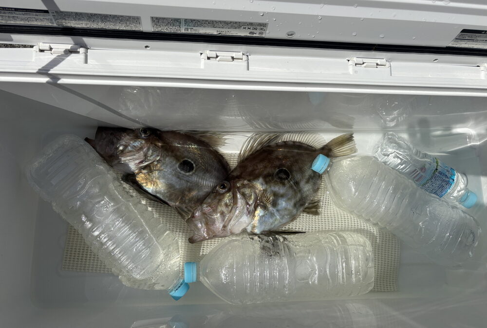 海のボート釣り　うねりのあと