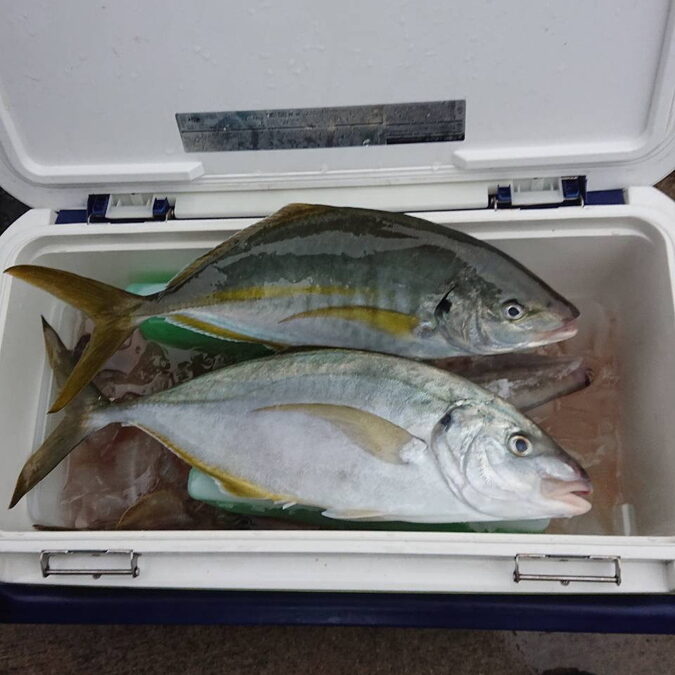 海のボート釣り　オーナー様釣果