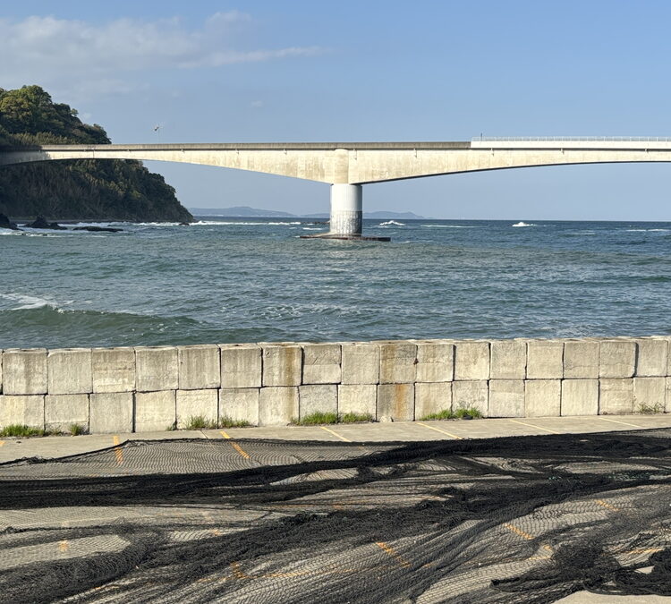 台風4号のうねりにご注意ください