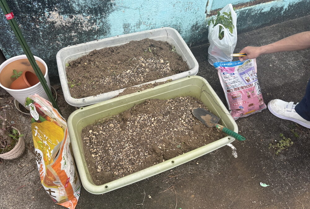 新しいイノチに挑戦