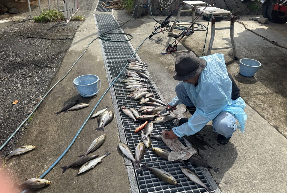 海のボート釣り　せいれーつ！