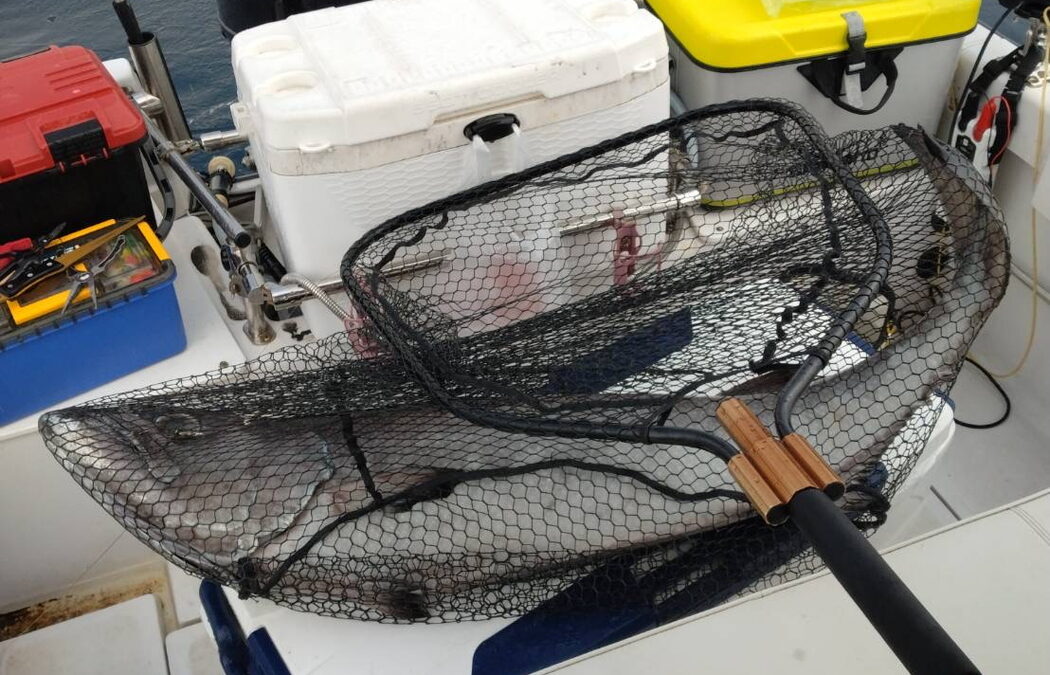 海のボート釣り　アメニモマケズ