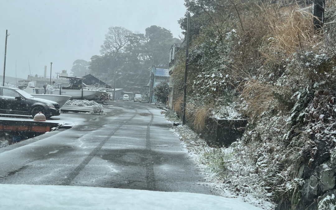 真鶴の雪とスズキエスクード