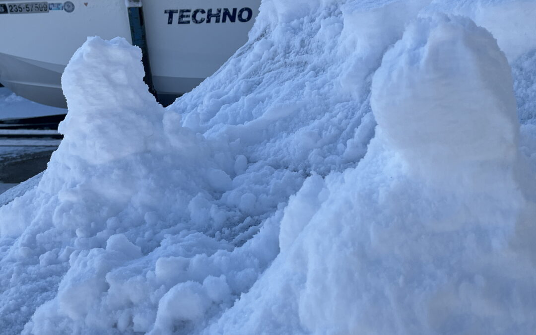 みかんの町に雪が降った