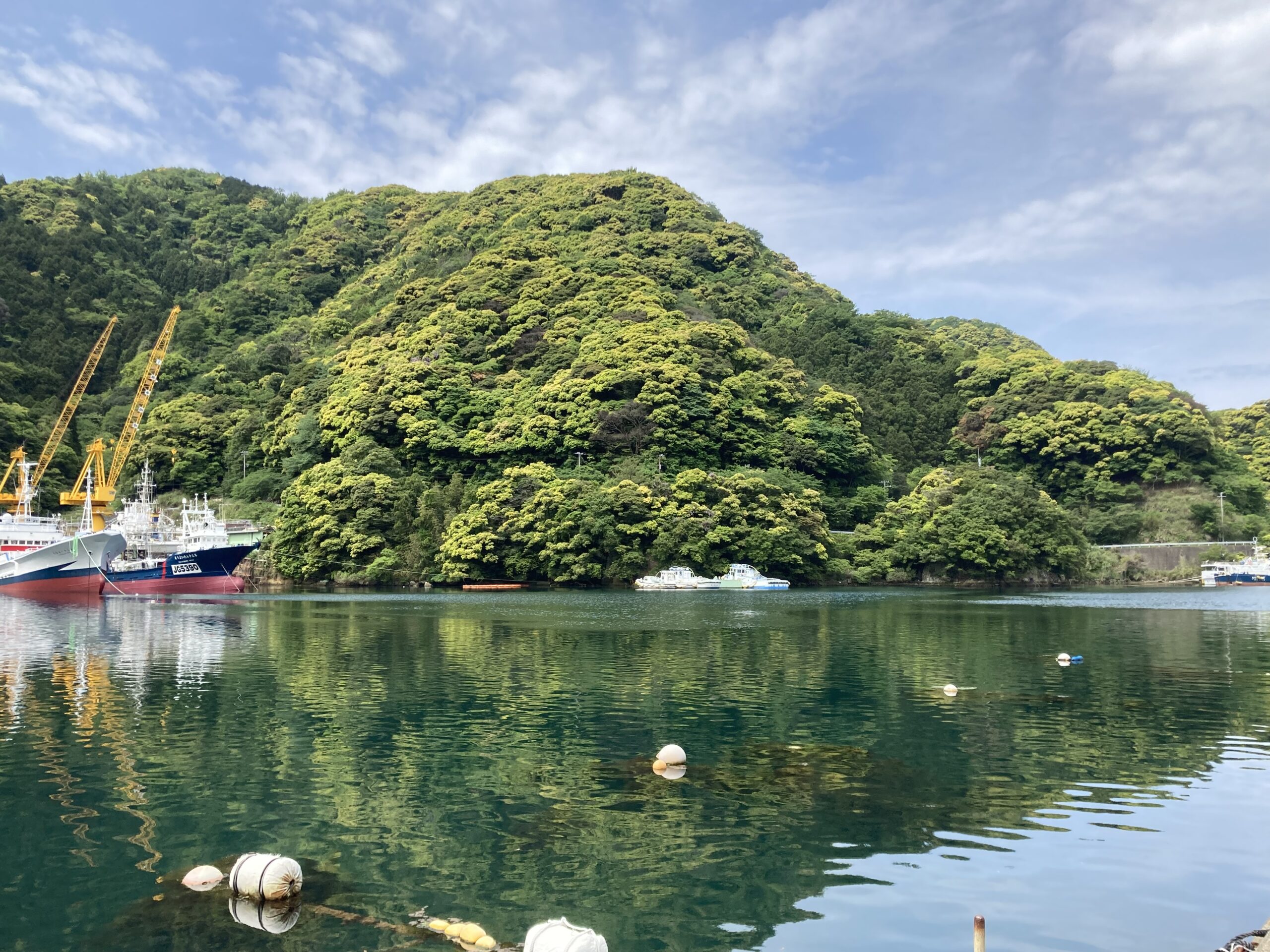 西伊豆は安良里にS１７デビュー