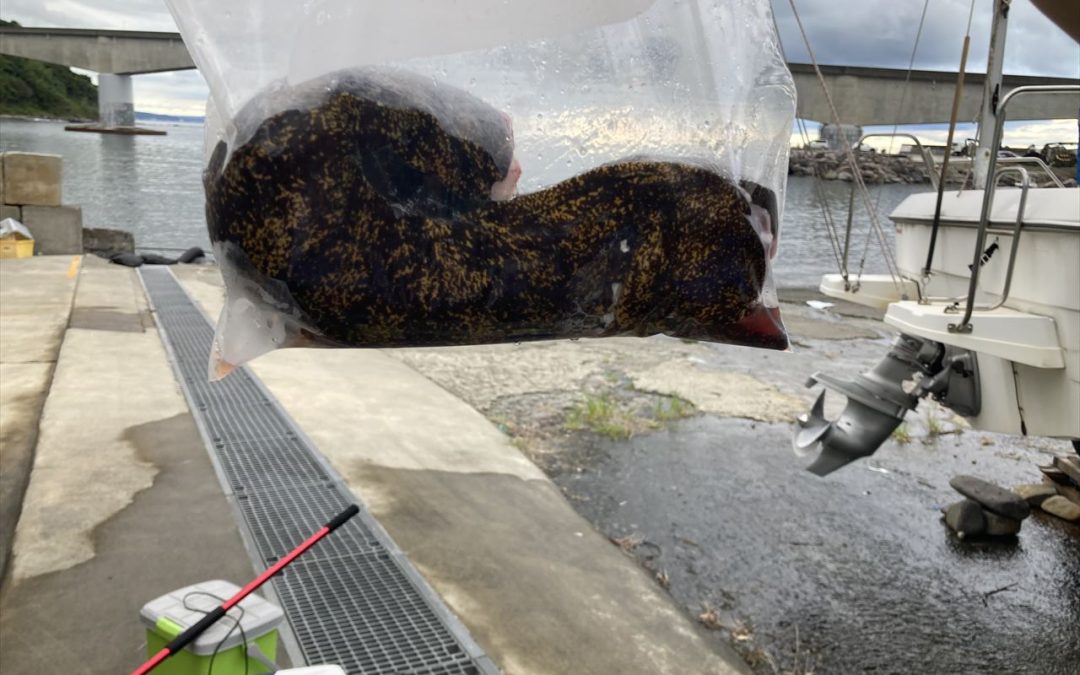 海のボート釣り　オーナー様釣果