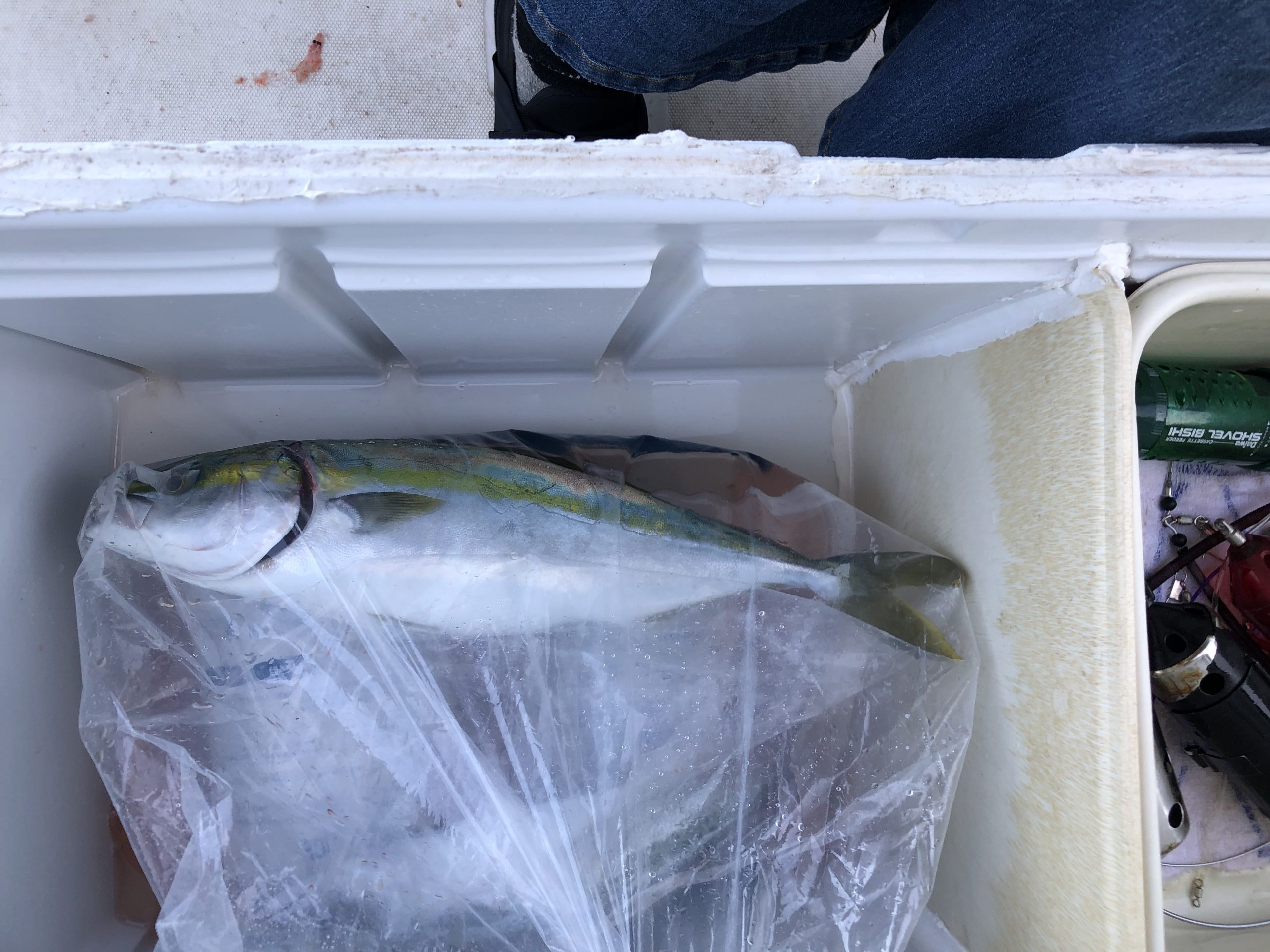 海のボート釣り　オーナー様釣果