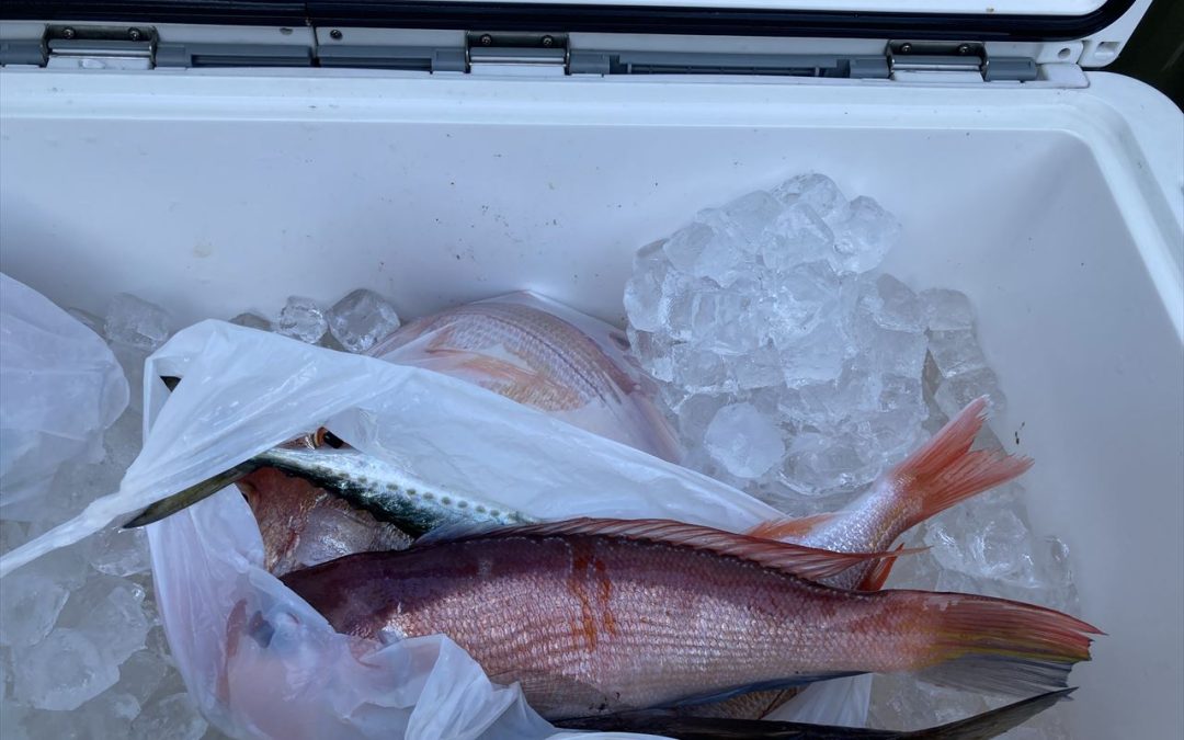 海のボート釣り　オーナー様釣果